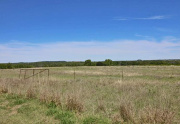 1631 field