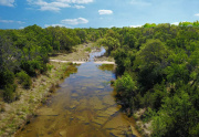 1631 willow creek