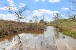 Live Oak Creek