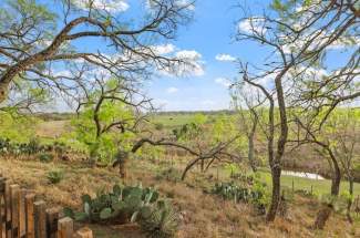 View of creek from sitting area