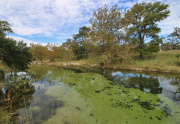 Southern comfort ranch Creek 1