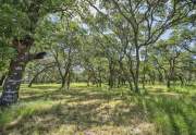 IMG02862