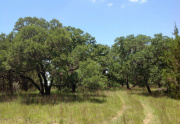 fav-of-road-to-big-trees1