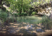 fav-of-stream-running-to-cenote1