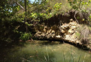 fav-vert-above-cenote1