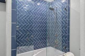 Guest bath shower