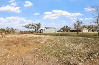 Pasture views and livestock