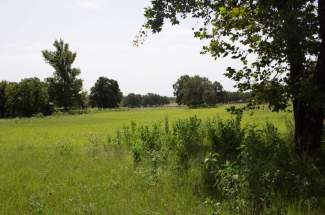 IMG_9724-copy