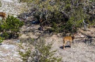 DJI_20250407124112_0441_D