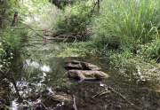 Wet weather creek