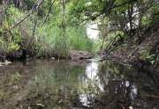 Wet weather creek