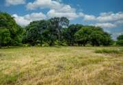 Pasture heading down to creek