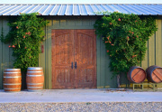 Winery for sale