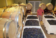 Fredericksburg Texas winery Vineyard for sale