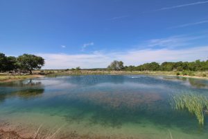 173 Acre Willow Pond Ranch for sale Fredericksburg TX Picture Gallery