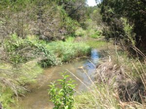 5855 Ranch Road 965 land for sale Fredericksburg TX