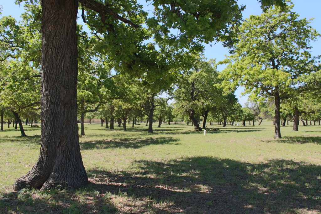 283 Lakewood Lane Fredericksburg TX Land for sale Post Oak Lakes