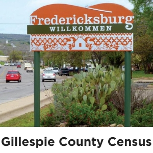 Gillespie County Census