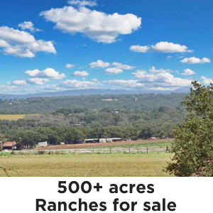 500+ acre ranches