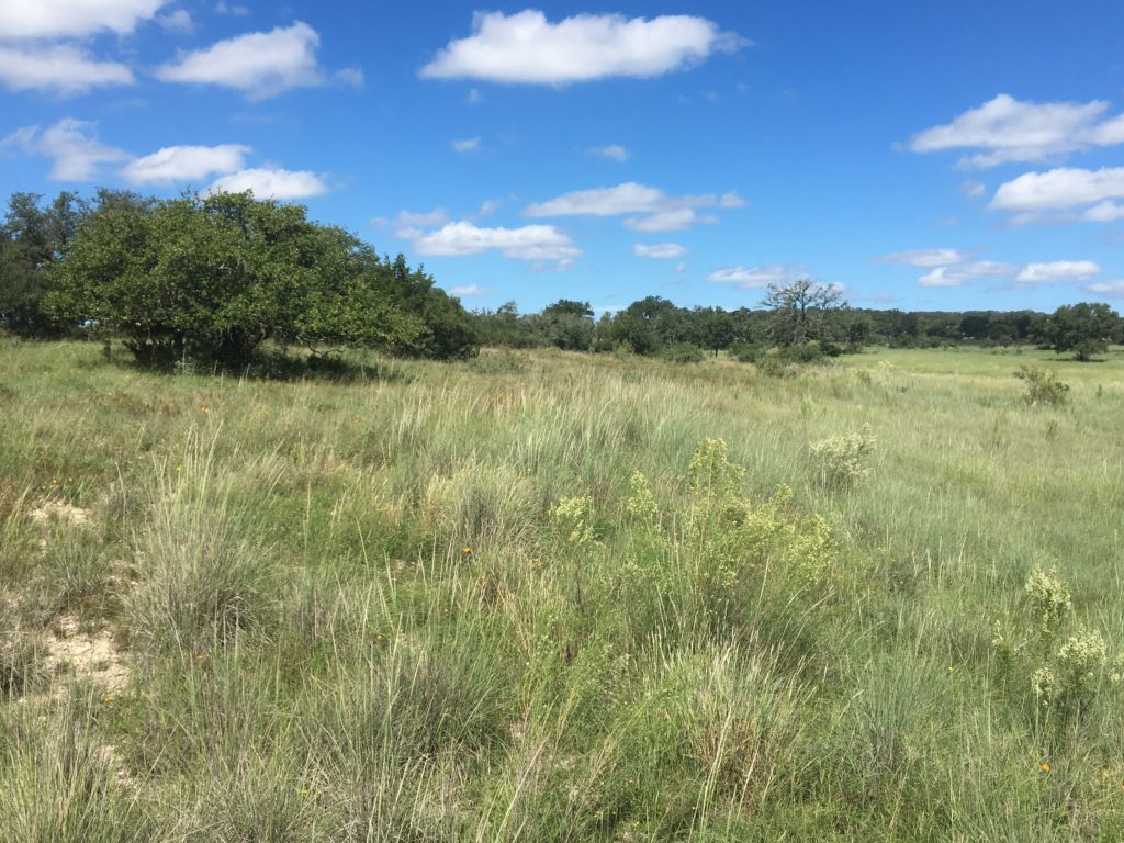 50 Rutledge Lane Fredericksburg TX Land For Sale