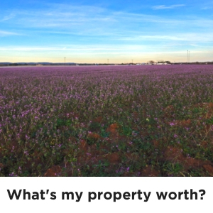 What's my property worth?