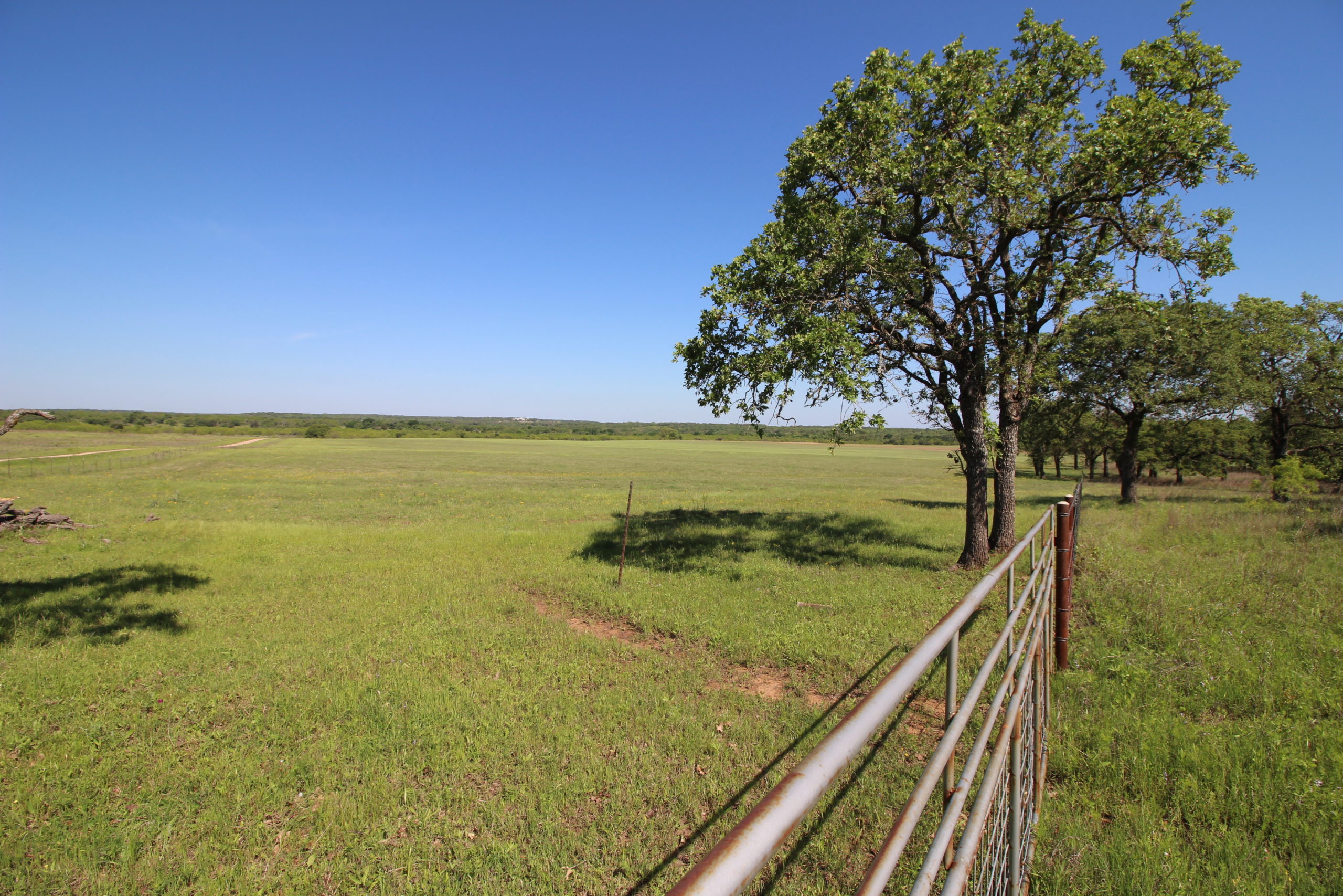 40 Acres For Sale In Texas