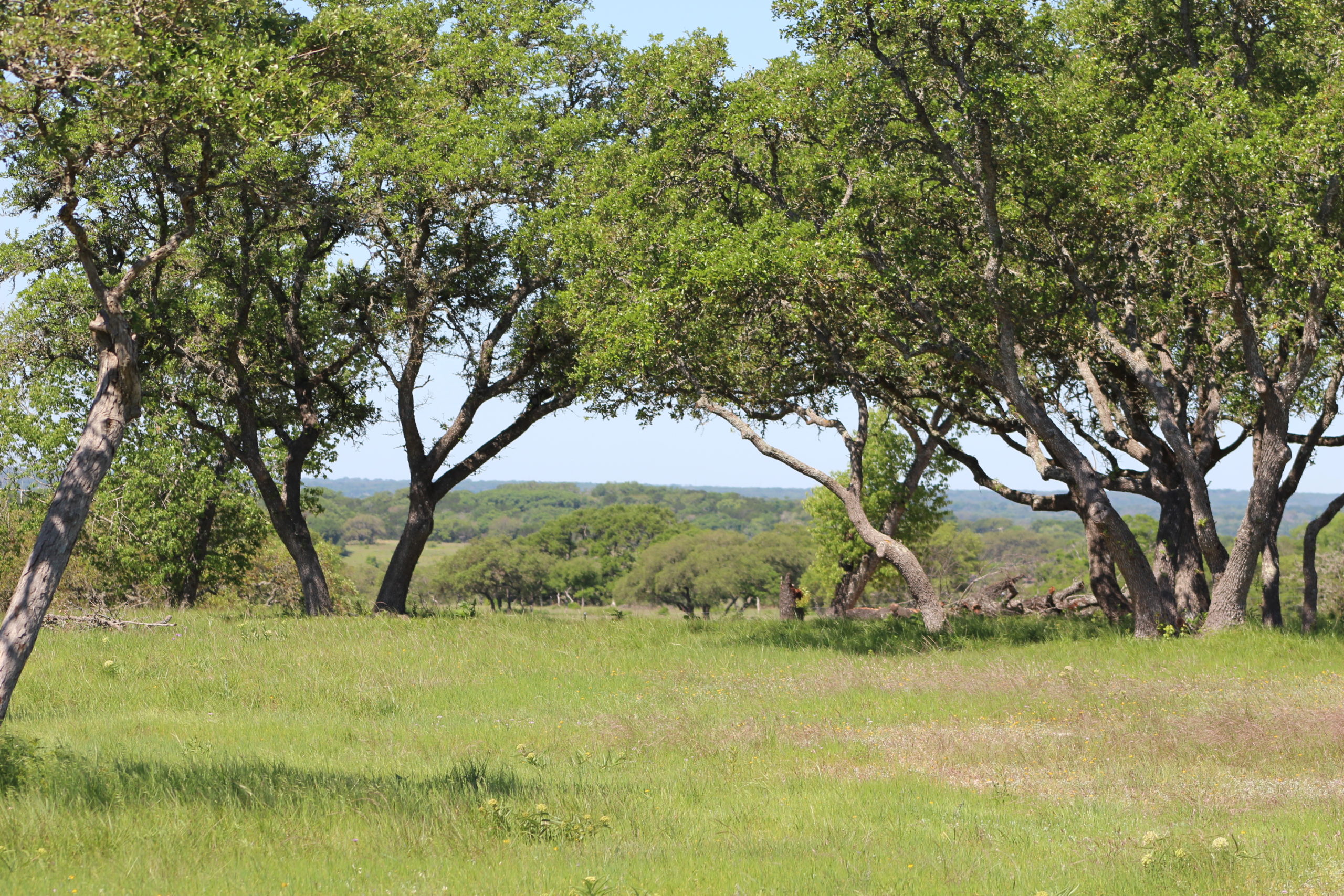 25 acre lots in Falcon Ridge Fredericksburg TX Location Map