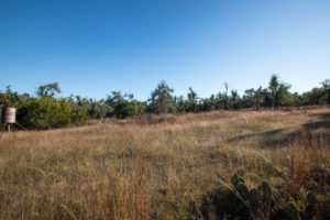 10 acres ADJ Lane Fredericksburg TX