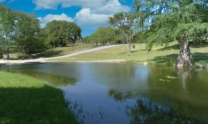Yellow Jacket Ranch for sale in Fredericksburg TX