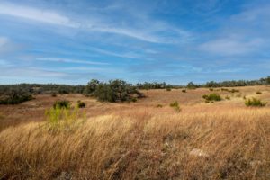 11 acres Hartmann Ranch for sale Fredericksburg TX